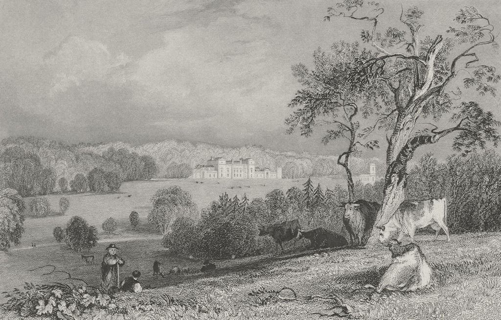 RUTLAND. Normanton Park. Allom 1836 old antique vintage print picture